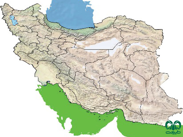 لاکپشت پوزه عقابی در ایران